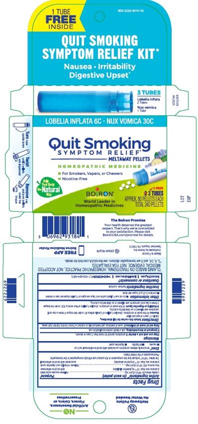 Label (Quit Smoking Symptom Relief Kit 6927229 04.2023)